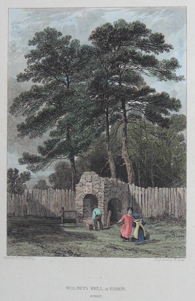 Print - Wolsey's Well at Esher, Surry - Cooke